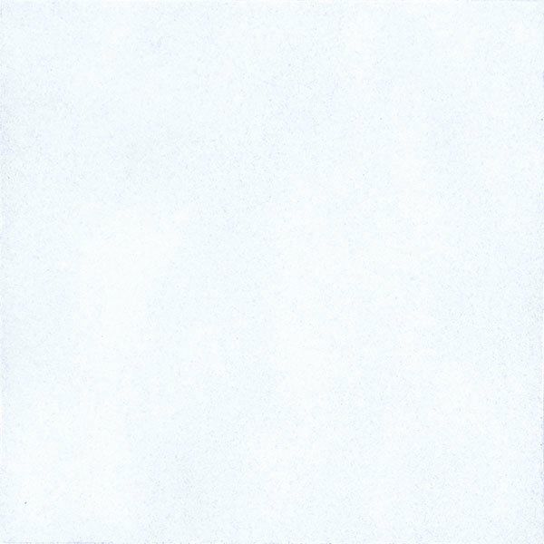 カーネ（HY-300/PET-1）300角平（ペット用）