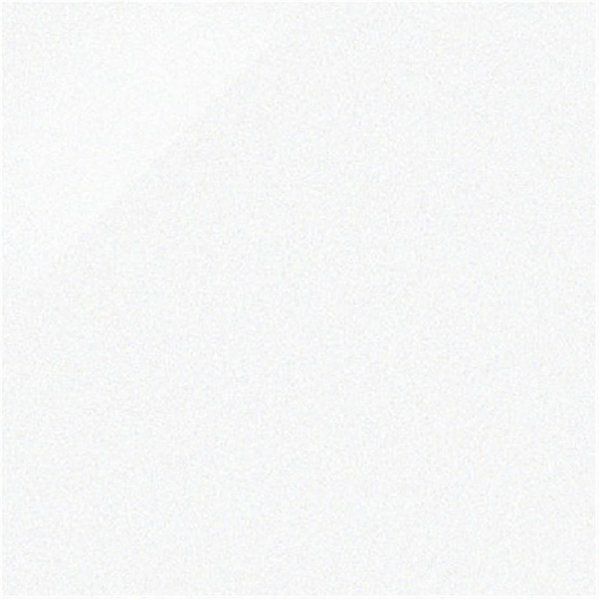 ニューセンチュリー（CEN-R8600）300角磨き