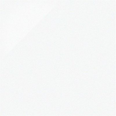 ニューセンチュリー