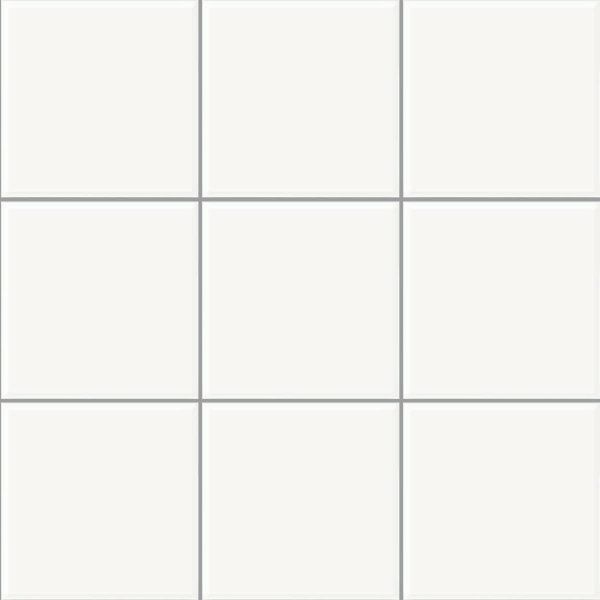 フォンセーヴ（P10/S-FC05）100角平セット張り（ブランクレール）