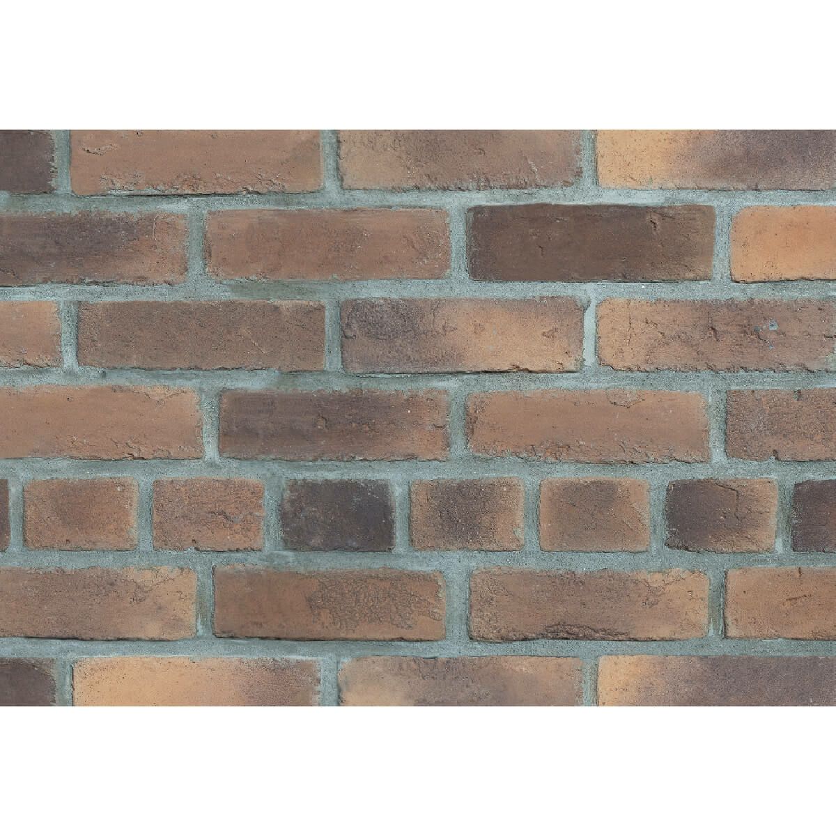 キャン’ブリック・スタンダード（STD-20）フラット・ハーフ