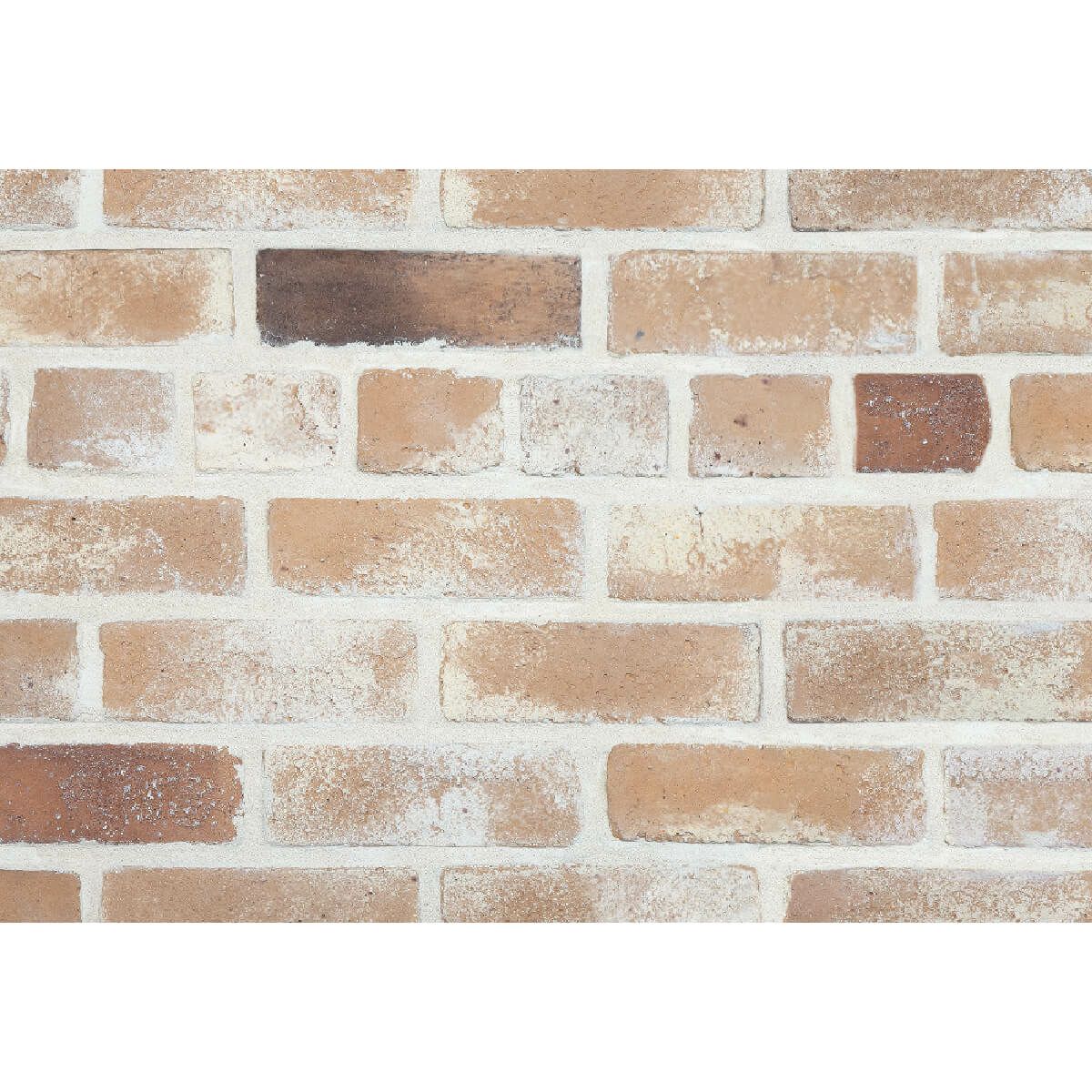 キャン’ブリック・スタンダード（STD-25）フラット・ハーフ