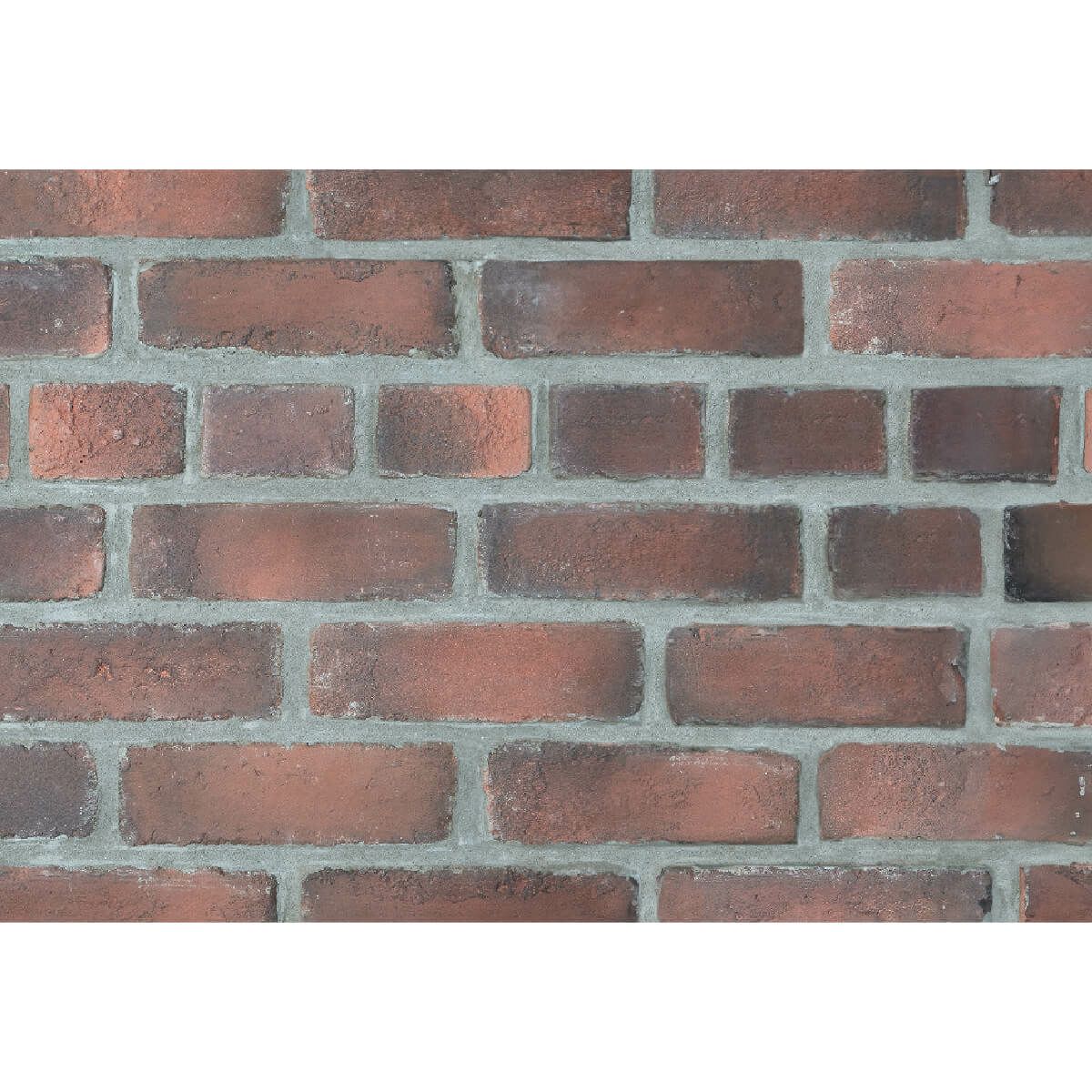 キャン’ブリック・スタンダード（STD-30）フラット・ハーフ