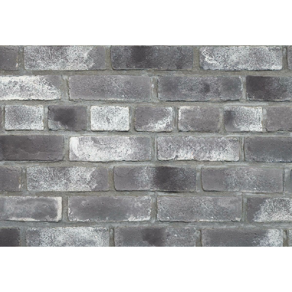 キャン’ブリック・スタンダード（STD-45）フラット・ハーフ