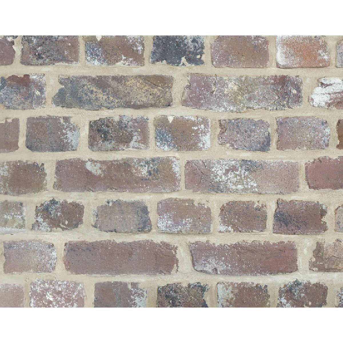 キャン’ブリック・マンチェスター（MC-2）フラット・ハーフ