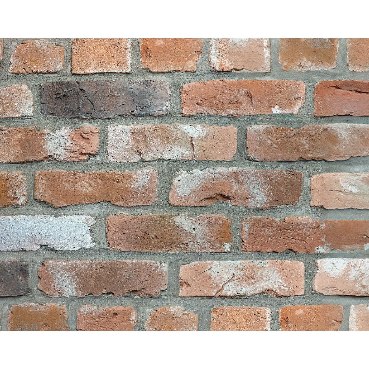 キャン’ブリック・マンチェスター（MC-3）フラット・ハーフ