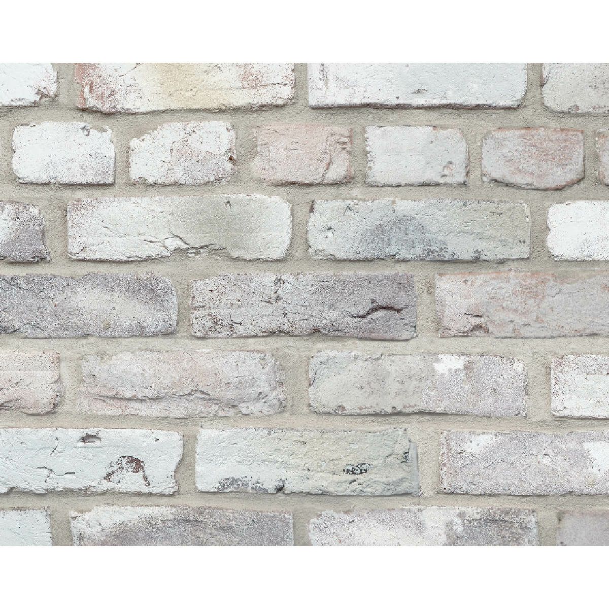 キャン’ブリック・マンチェスター（MC-5）フラット・ハーフ