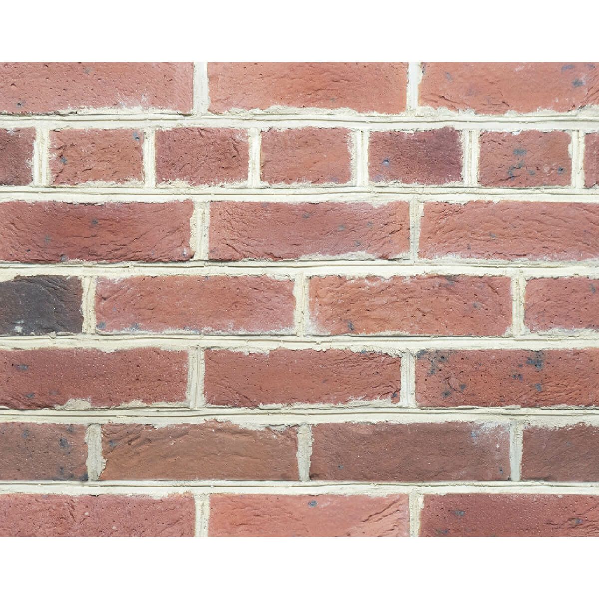 キャン’ブリック・セントジェームス（SJ-5）フラット・ハーフ