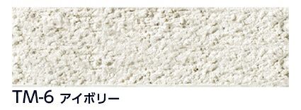 TM-6 アイボリー