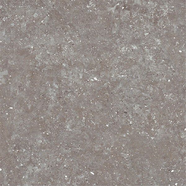 スカンジナビアン ストン（CHY-X2230G）600角岩面