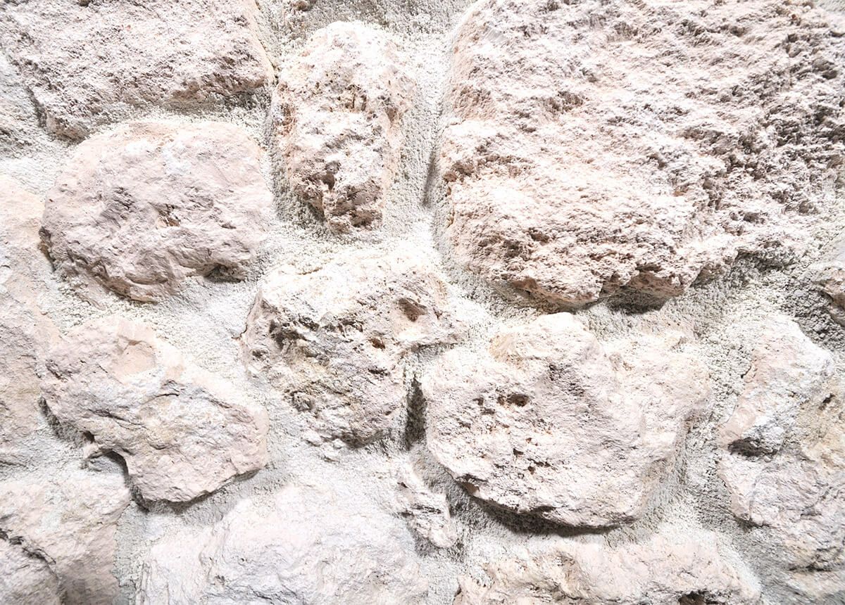 COR-2テクスチャー