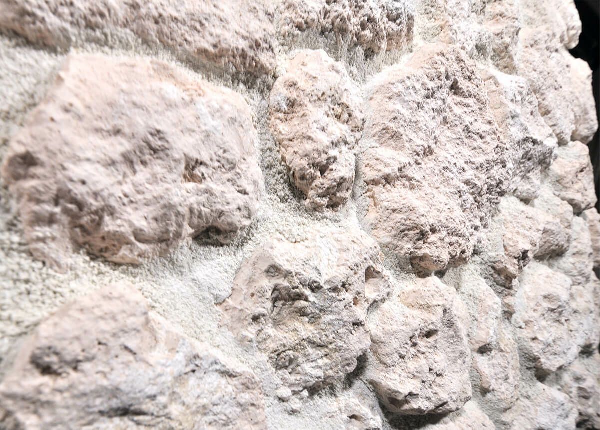 COR-2テクスチャー