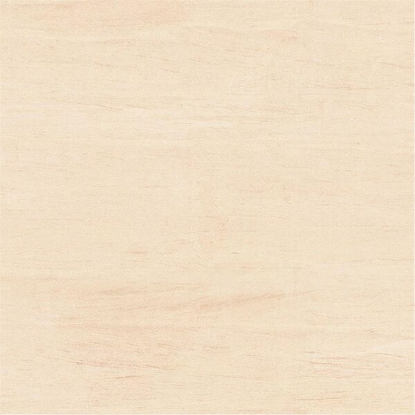 （TCP-X1010）600角平