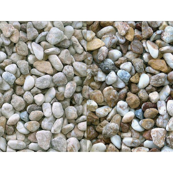 GMS0220・ナッツイエロー